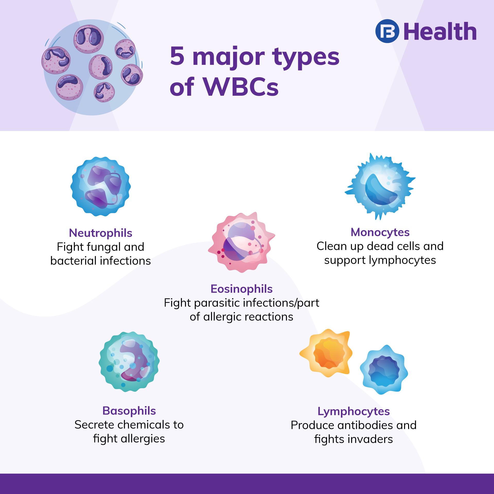 Infectious Diseases